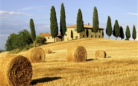 Meules, champs, maisons, arbres, Italie HD Fonds d'écran