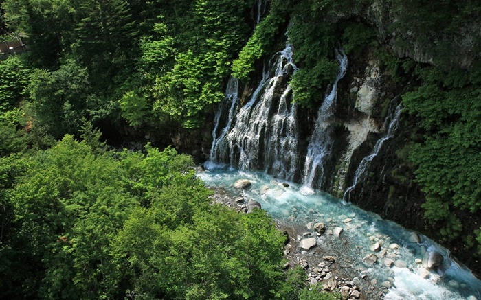 Hokkaido, Japon, chutes d'eau, ruisseau, falaise, plantes Fonds d'écran, image
