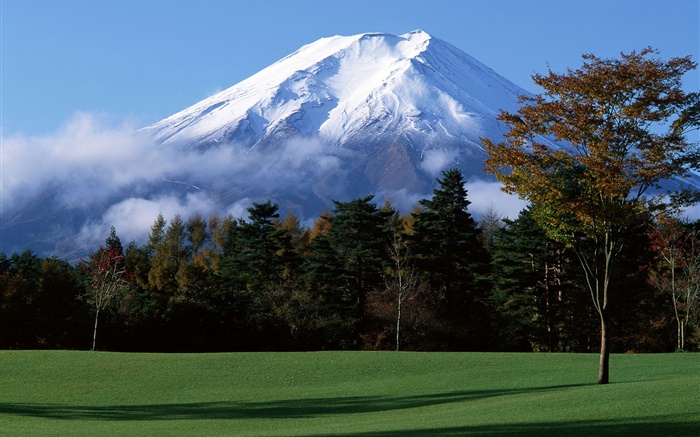 Mont Fuji du Japon, de la neige, les arbres, l'herbe, le brouillard Fonds d'écran, image
