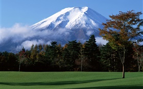 Mont Fuji du Japon, de la neige, les arbres, l'herbe, le brouillard