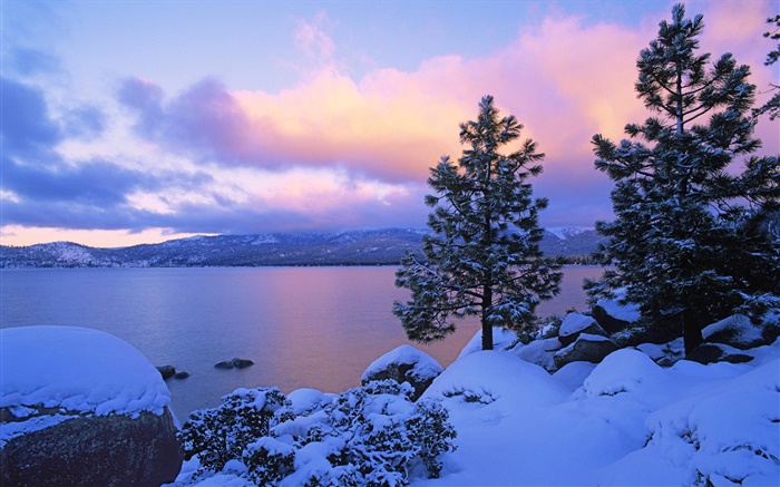 Lake Tahoe, hiver, neige, arbres, crépuscule, États-Unis Fonds d'écran, image
