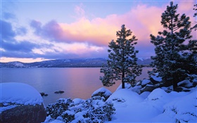 Lake Tahoe, hiver, neige, arbres, crépuscule, États-Unis