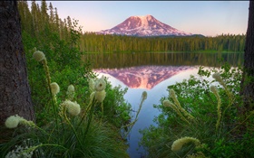 Lac, montagne, herbe, arbres, réflexion, l'aube HD Fonds d'écran