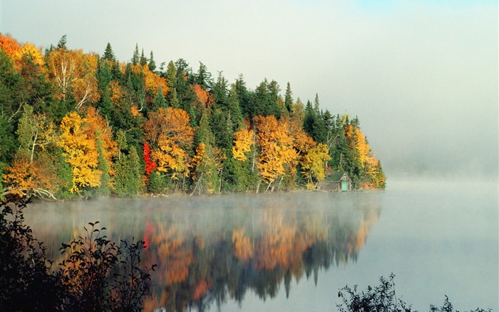 Lake, arbres, brouillard, matin, automne Fonds d'écran, image