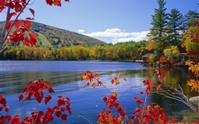 Lake, arbres, maison, automne