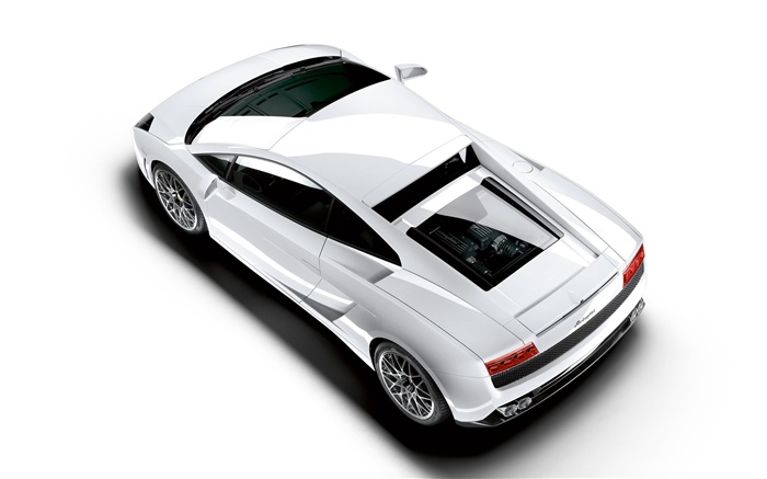 Lamborghini blanche vue de dessus en voiture Fonds d'écran, image