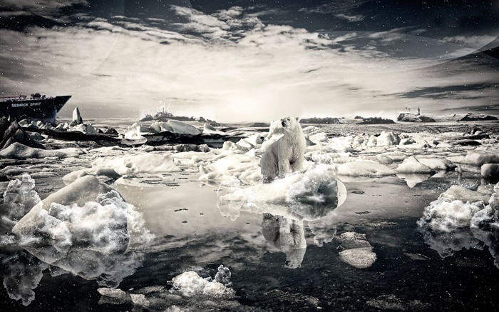 Solitaires ours, neige, mer, photos créatives Fonds d'écran, image