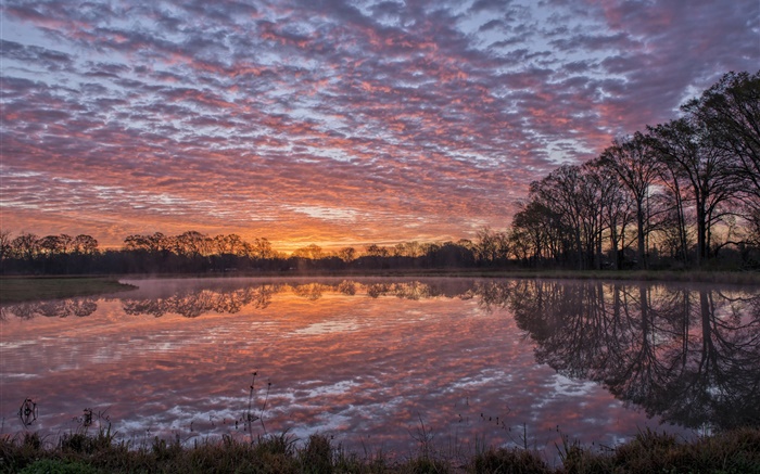 Louisiane, rivière, rivage, réflexion de l'eau, les arbres, les nuages, coucher de soleil Fonds d'écran, image