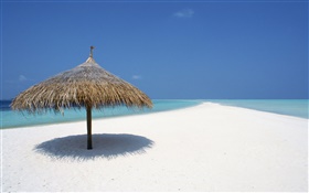 Maldives, plage, mer, auvent HD Fonds d'écran
