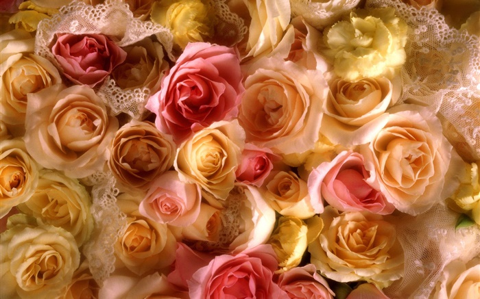 Beaucoup de fleurs rose, jaune et rose Fonds d'écran, image