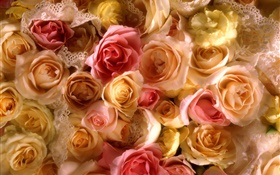 Beaucoup de fleurs rose, jaune et rose