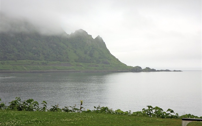 Matin, brouillard, montagnes, mer, côte, herbe, Hokkaido, Japon Fonds d'écran, image