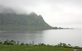 Matin, brouillard, montagnes, mer, côte, herbe, Hokkaido, Japon HD Fonds d'écran