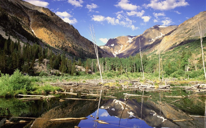 Montagnes, forêt, arbres, lac, réflexion de l'eau Fonds d'écran, image