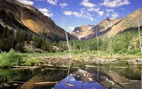 Montagnes, forêt, arbres, lac, réflexion de l'eau HD Fonds d'écran