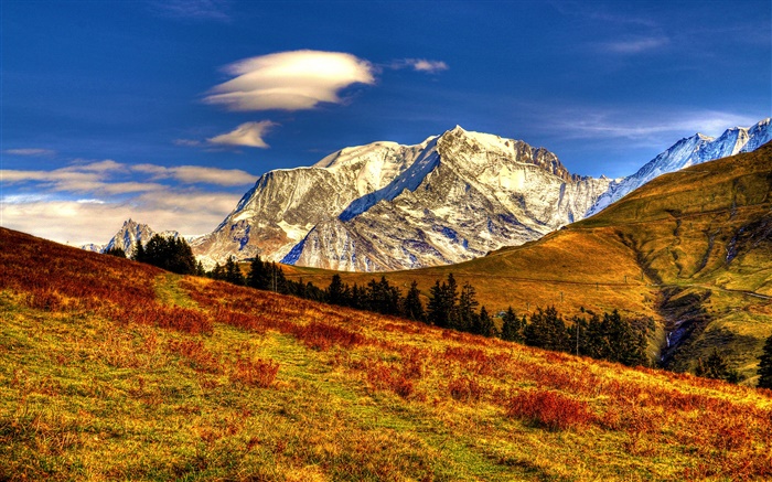 Montagnes, herbe, arbres, automne, ciel bleu Fonds d'écran, image