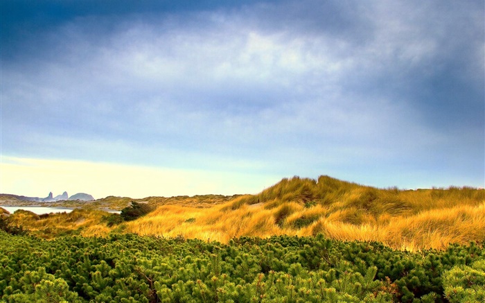 Nature paysage, herbe, ciel bleu, nuages Fonds d'écran, image