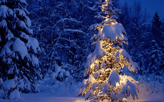 Nuit, arbres, lumières, neige épaisse, Noël Fonds d'écran, image