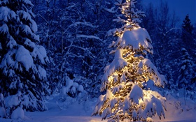 Nuit, arbres, lumières, neige épaisse, Noël
