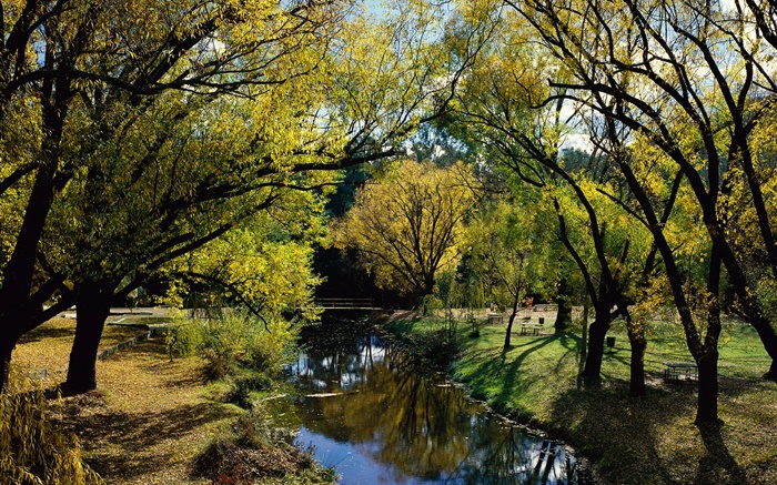 Parc, rivière, arbres, Australie Fonds d'écran, image