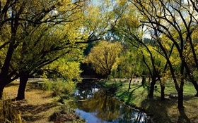 Parc, rivière, arbres, Australie