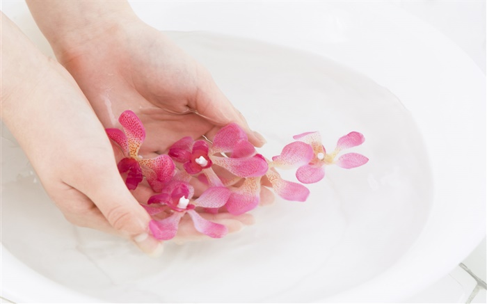 Rose pétales d'orchidée à fleurs, l'eau, les mains Fonds d'écran, image