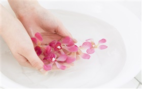 Rose pétales d'orchidée à fleurs, l'eau, les mains