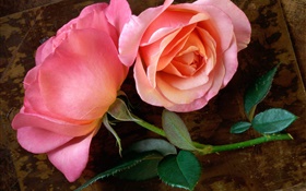 Rose rose fleur sur la planche en bois