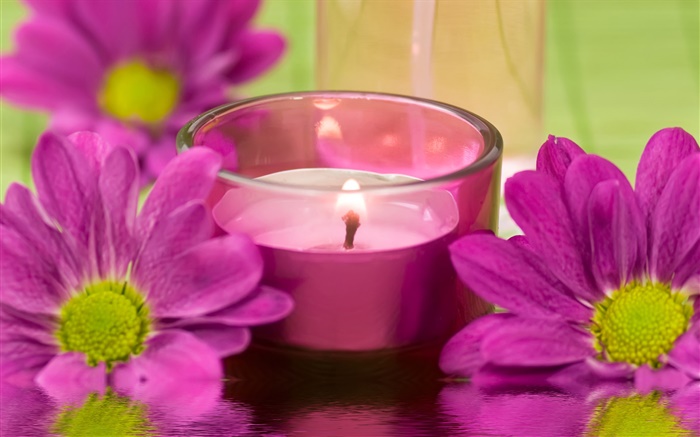 fleurs de chrysanthème Violet, bougie, feu, SPA thème Fonds d'écran, image