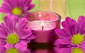 fleurs de chrysanthème Violet, bougie, feu, SPA thème HD Fonds d'écran