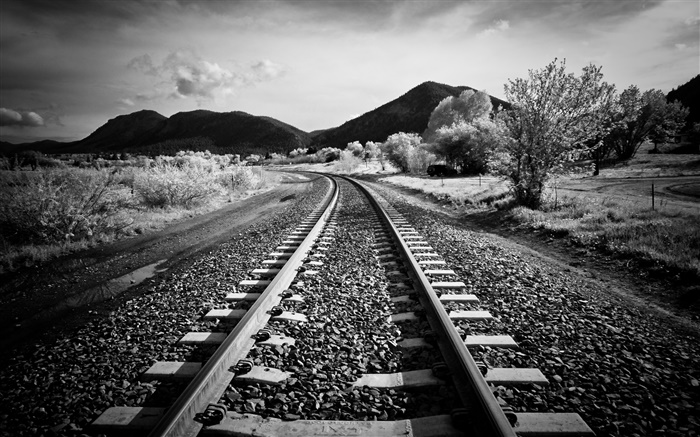 Chemin de fer, les arbres, les montagnes, le style blanc noir Fonds d'écran, image