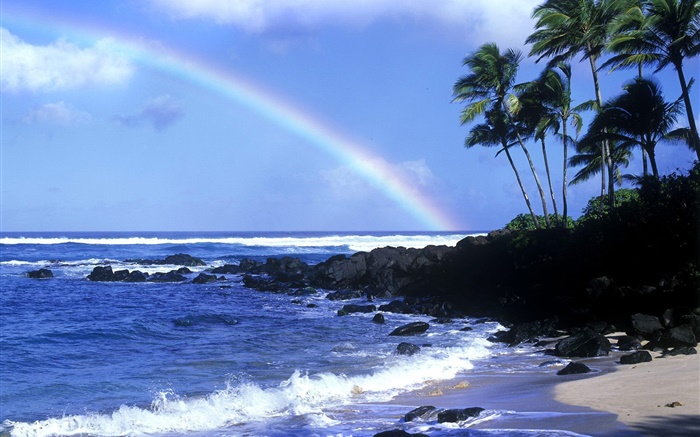 Arc en ciel, mer bleue, côte, palmiers, Hawaii, États-Unis Fonds d'écran, image