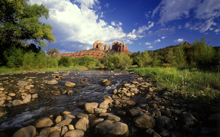 traversée rouge de roche, pierres, rivière, herbe, Sedona, Arizona, Etats-Unis Fonds d'écran, image