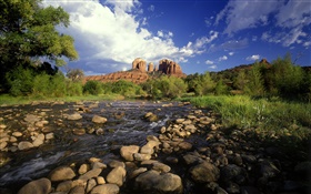 traversée rouge de roche, pierres, rivière, herbe, Sedona, Arizona, Etats-Unis