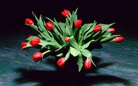 fleurs de tulipes rouges, bouquet, vase HD Fonds d'écran