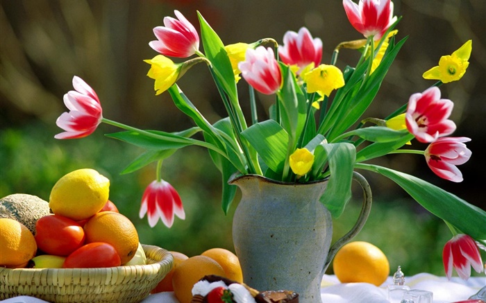 Red pétales blancs tulipes, vase, les oranges Fonds d'écran, image