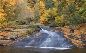 Rivière, arbres, automne HD Fonds d'écran