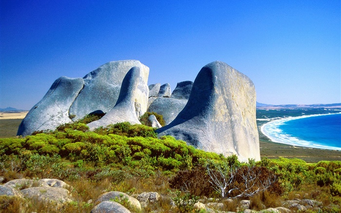 Rocks, herbe, côte, mer bleue, l'Australie Fonds d'écran, image