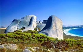 Rocks, herbe, côte, mer bleue, l'Australie