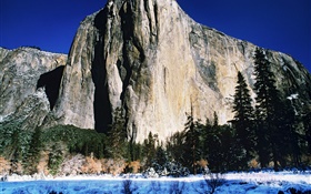 Rocks montagnes, arbres, hiver, neige HD Fonds d'écran
