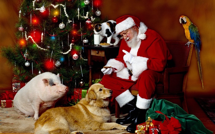 Père Noël et les animaux, les lumières de Noël Fonds d'écran, image
