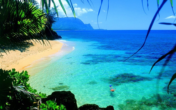 Mer, l'eau claire, côte, nager, Hawaii, USA Fonds d'écran, image