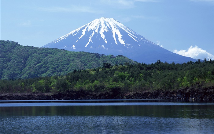 Mer, forêt, Mont Fuji, Japon Fonds d'écran, image