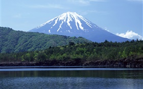 Mer, forêt, Mont Fuji, Japon