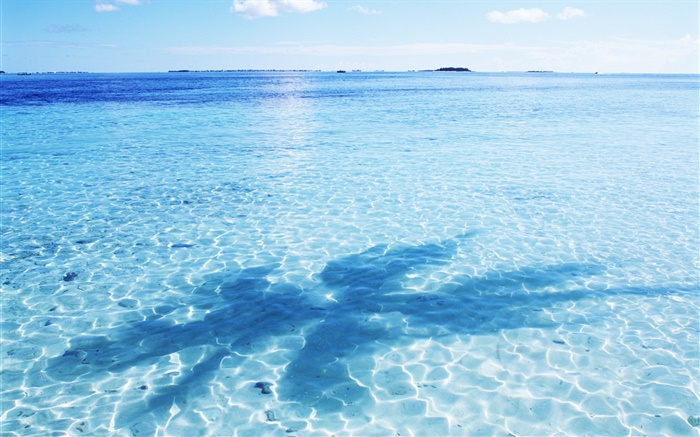 Mer, bleu de l'eau, les reflets, les vagues, les ombres, les Maldives Fonds d'écran, image