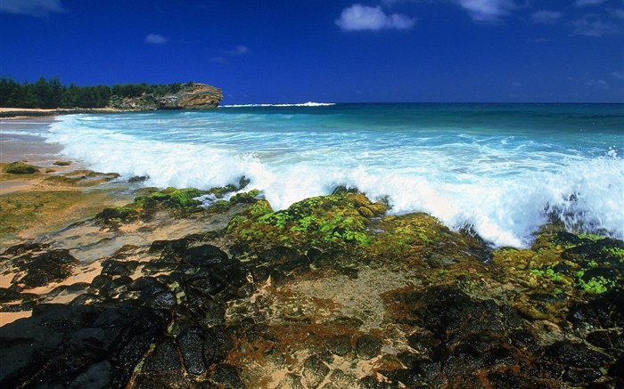 Les vagues, côte, crépuscule, Hawaii, USA Fonds d'écran, image