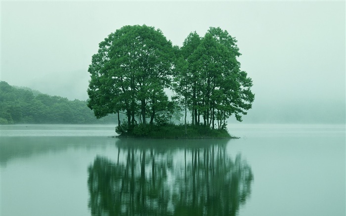 Petite île au centre du lac, les arbres, Tokyo, Japon Fonds d'écran, image