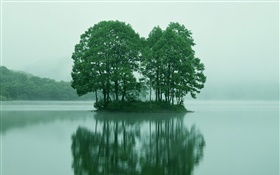 Petite île au centre du lac, les arbres, Tokyo, Japon