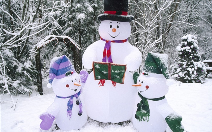 Bonhomme de neige, neige, hiver, Noël Fonds d'écran, image