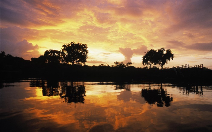 Coucher de soleil sur la forêt, lac, Guyana Fonds d'écran, image